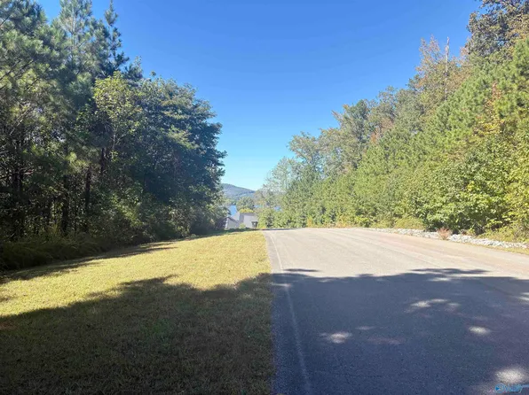 LOT 122 Lookout Mountain Dr, Scottsboro, AL 35769