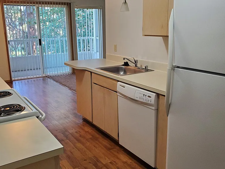 Indian Canyon Apartments — Photo 9