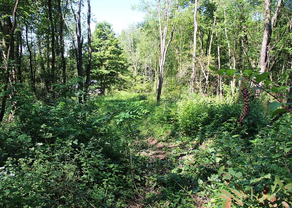 2nd image of 1015 Township Road 133