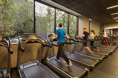 Rented by Gotham Organization