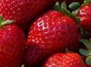 103 Boysenberry Fields Rd, Maple Hill, NC 28454