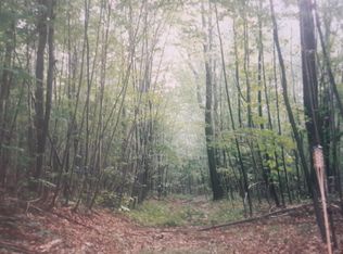 SECTION 2 Backbone Ridge Lot 7 Timber Falls Dr, Oakland, MD 21550