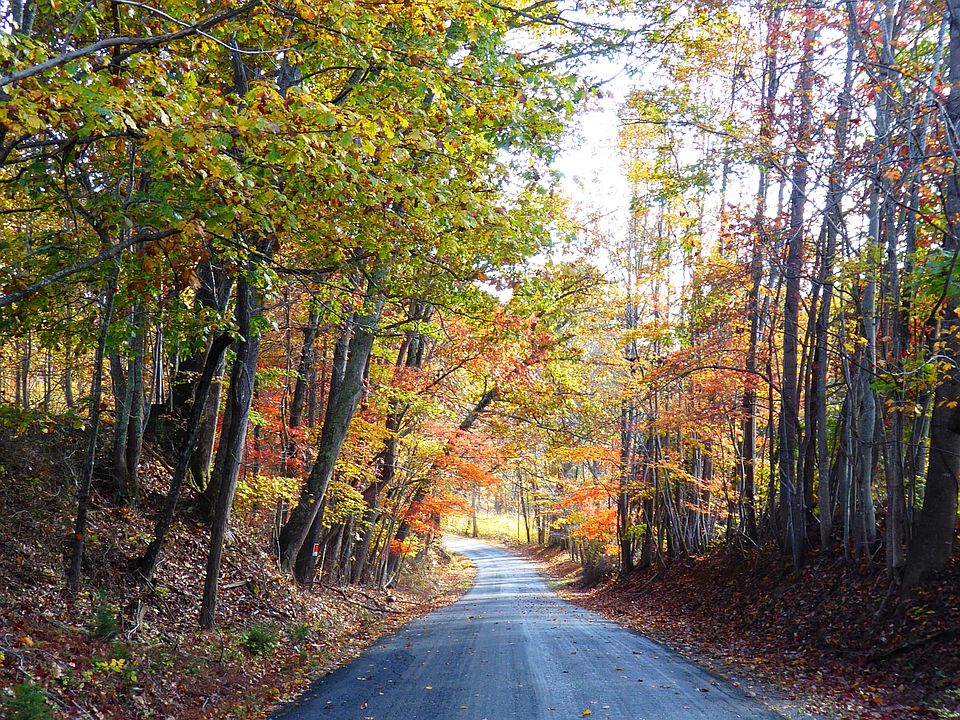 Charlemont Road, Boulder Pt