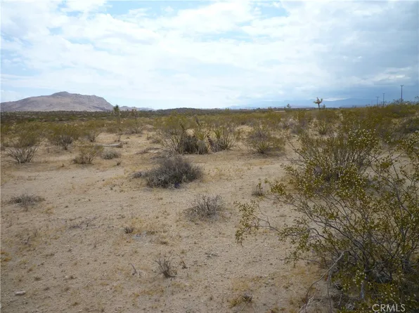 2345 Sunny Sands Dr #9, Joshua Tree, CA 92252
