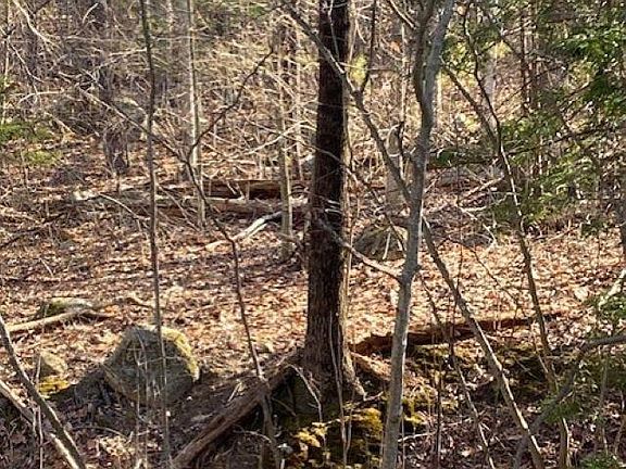 5th image of Orchard View Drive #008