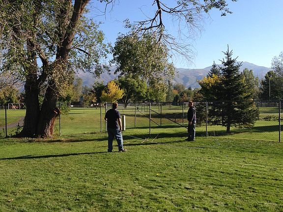 Back yard toward park 