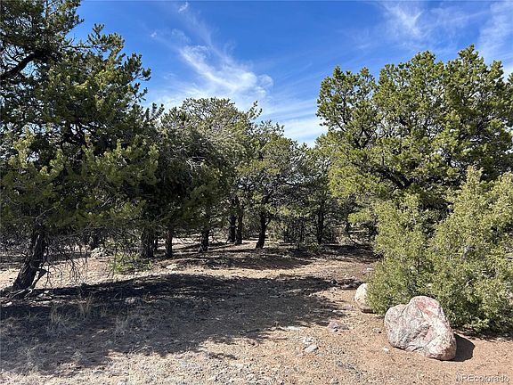 3rd image of 3545 Fallen Tree Place