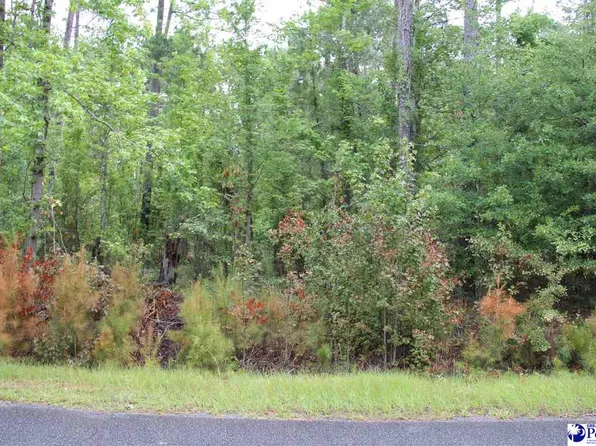 3 Family Rd, Mc Bee, SC 29101
