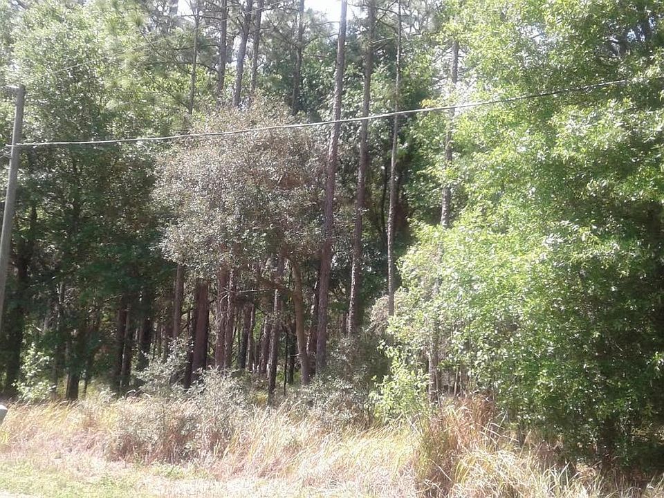 2nd image of 0 Cedar Tree Dr