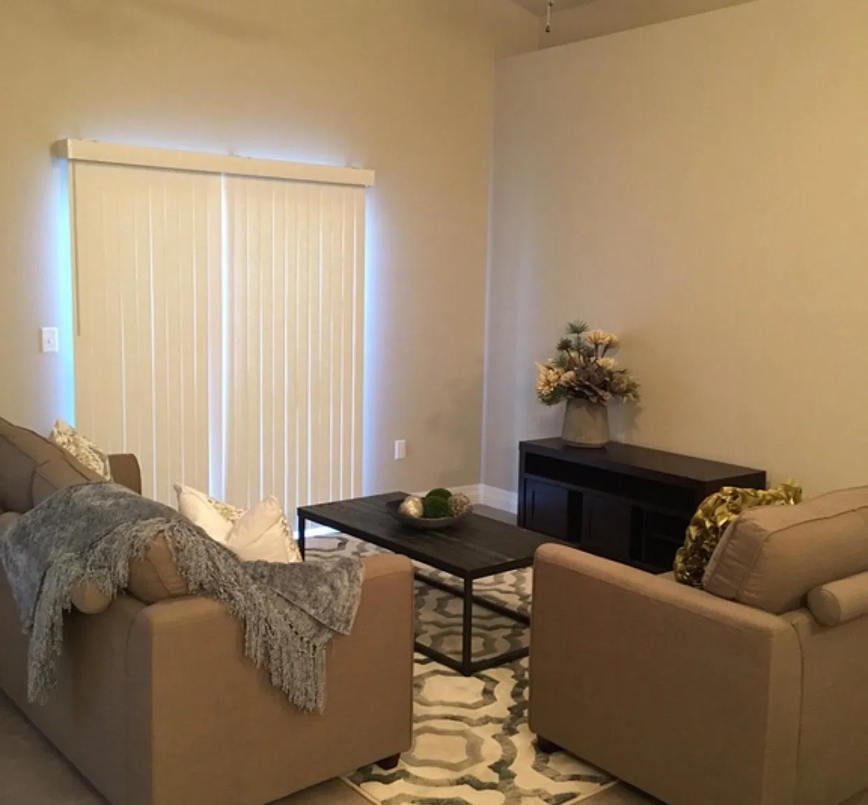 3 bed, 1102 sqft, $1,495 — Photo 3