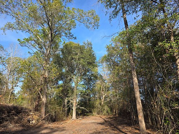 3rd image of 0 Number C Highway Cottondale Fl 32431 #90