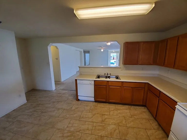 25714 Gold Yarrow — Photo 5