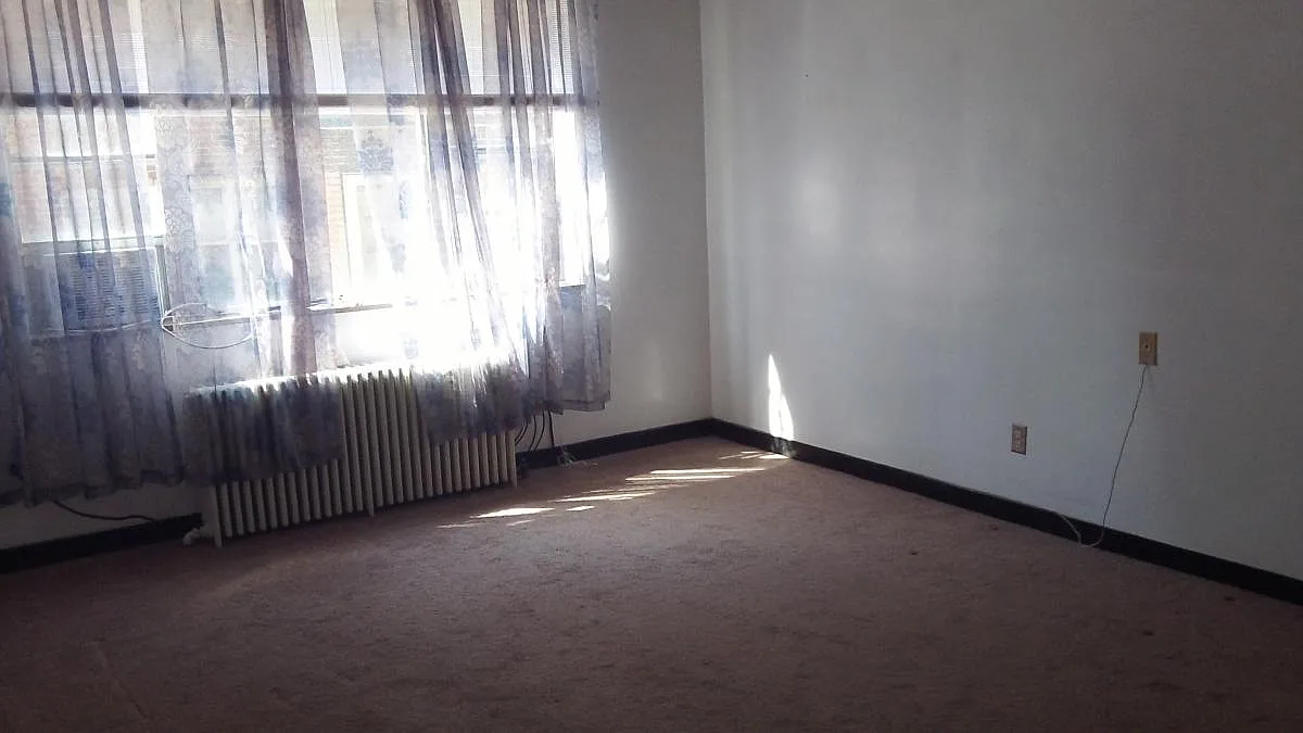 1 bed, 330 sqft, $1,100 — Photo 2