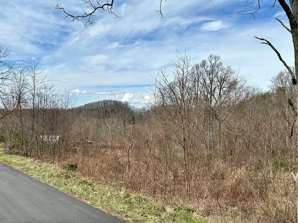 Tbd Mill Creek Rd, Chilhowie, VA 24319