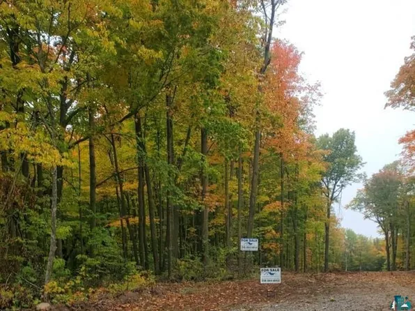 55xx Lilac Hill Rd, Midway, MN 55810