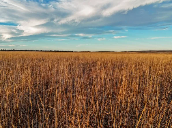 County Road 63 5/10, Holyoke, CO 80734