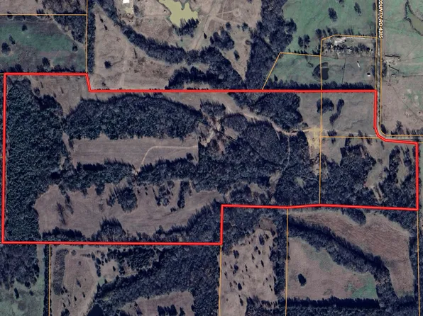 4315 Mount, Cookville, TX 75558