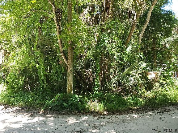 3rd image of 31 Hernandez Ave