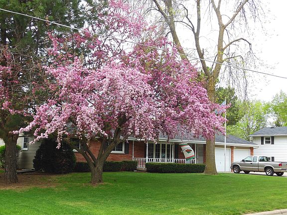 Beautiful flowering crab