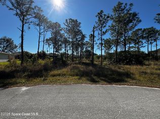 2497 Palmarita St SE, Palm Bay, FL 32909