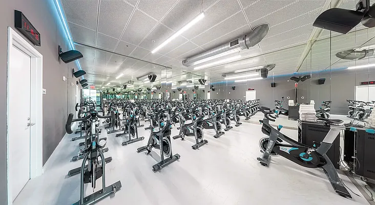 Rented by Platinum Properties | media 74