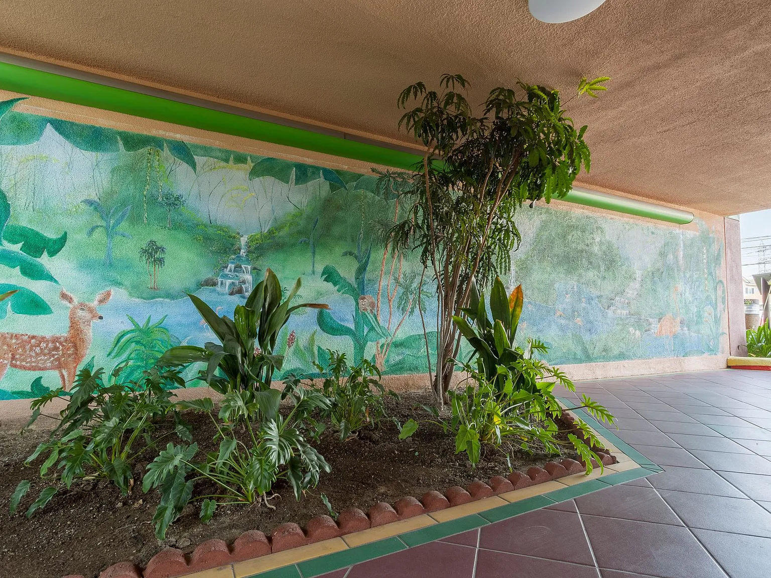 Flamingo Apartments — Photo 4