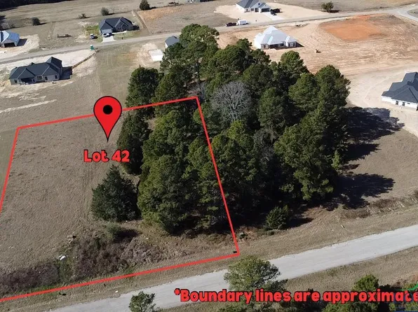 42 Meadows Rd, Tatum, TX 75691