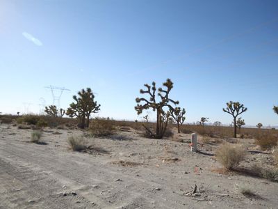 1571 Sierra Rd, Pinon Hills, CA, 92372