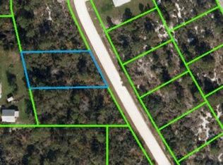 229 Hayes Ave NE, Lake Placid, FL 33852