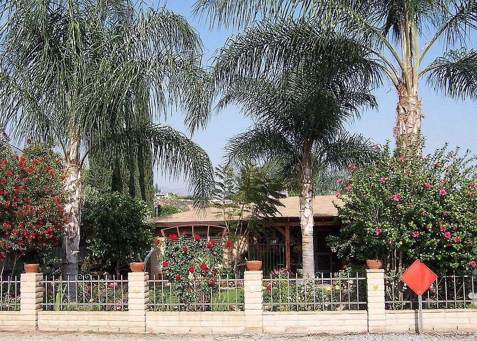 Front yard