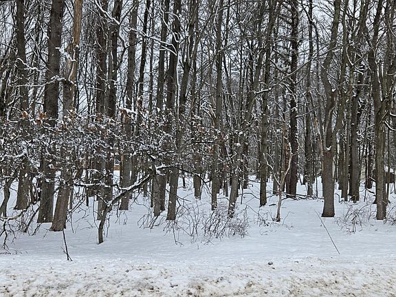 2nd image of Stony Mountain Rd