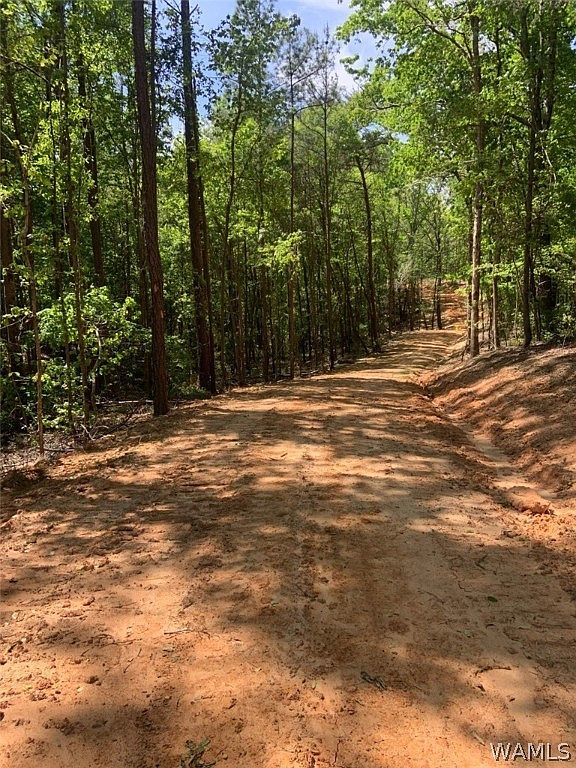12980 Martin Road Spur, Northport, AL 35473 MLS 151582 Zillow