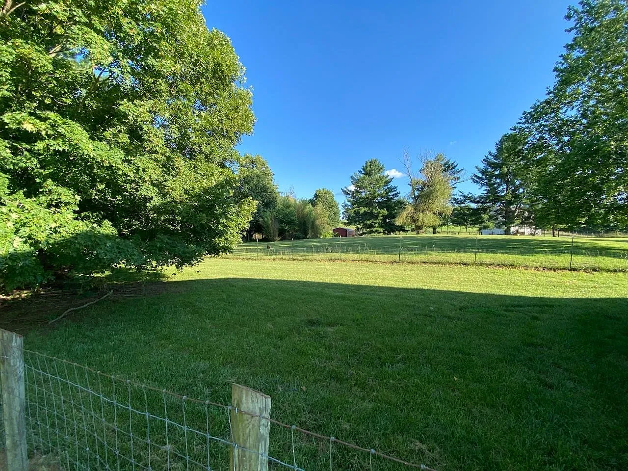 4 bed, 2.5 bath, 1100 sqft, $1,800 — Photo 4