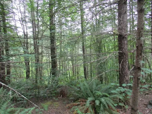 0 SE Gruber Rd, Estacada, OR 97023