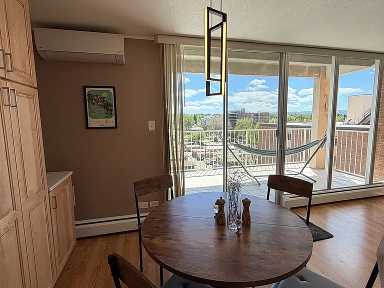 955 Eudora St #802E — Photo 7