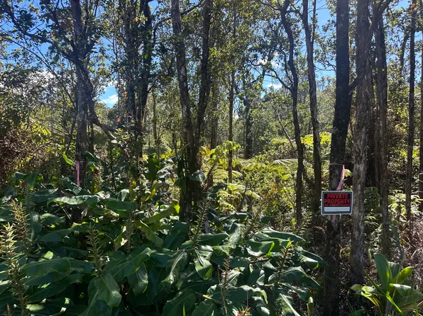 Alaula St Lot 714, Volcano, HI 96785