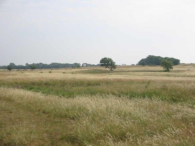 1st image of 7969 S Fm 548