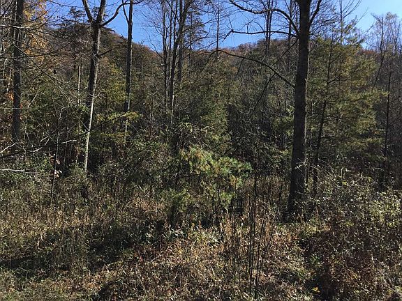 4th image of 2200 Deer Run