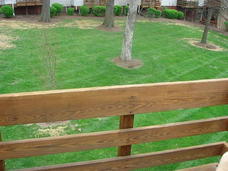 1510 Oriole Ln — Photo 11