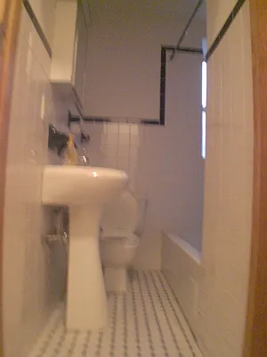 Rented by Blue Star Apartments | media 36