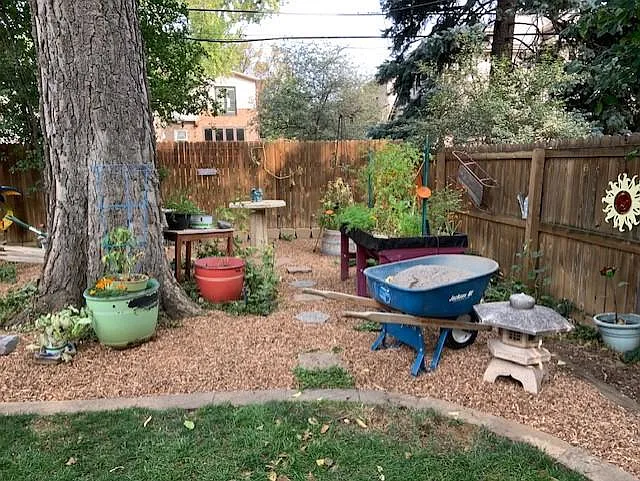 Back yard - 824 S Corona St