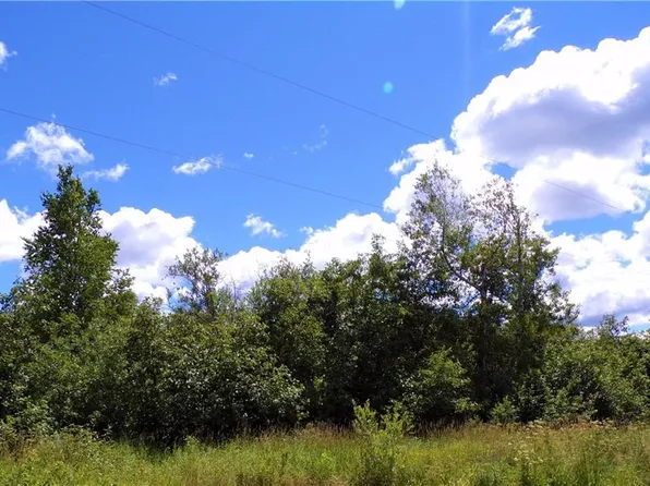 9.03 Acres on MeadowBrook Road, Ladysmith, WI 54848