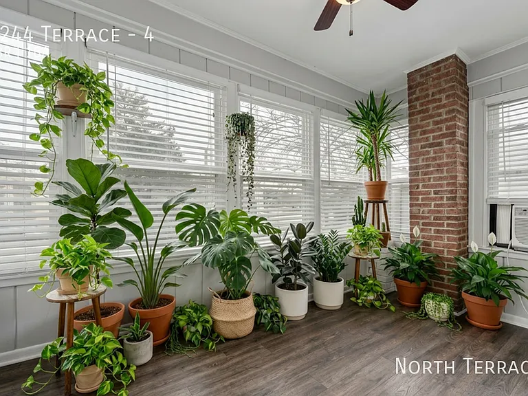 4244 Terrace St #4 — Photo 5