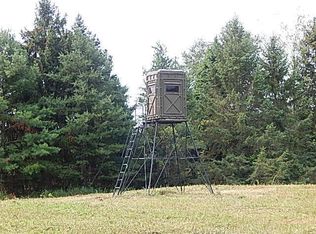 12333 Rome Rd, Onsted, MI 49265