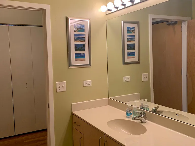 1620 S Michigan Ave #1213 — Photo 12