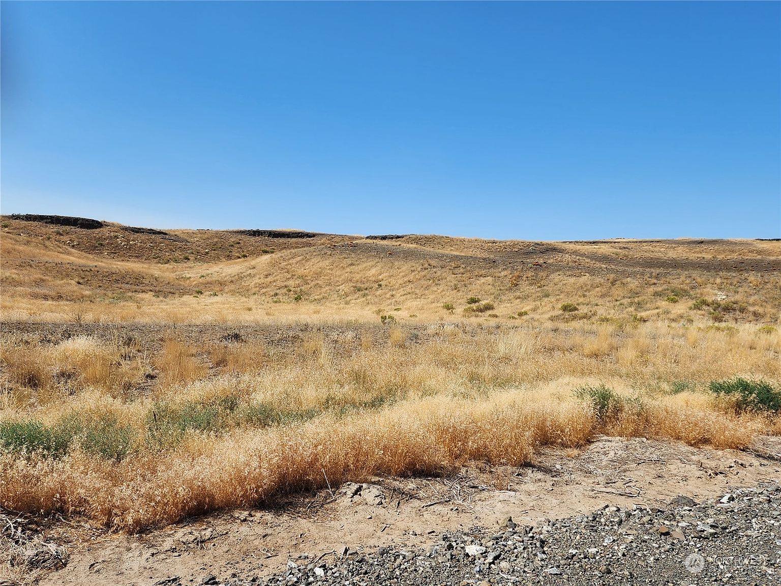 41 Eagle Springs, Wilson Creek, WA 98860 MLS 2144783 Zillow