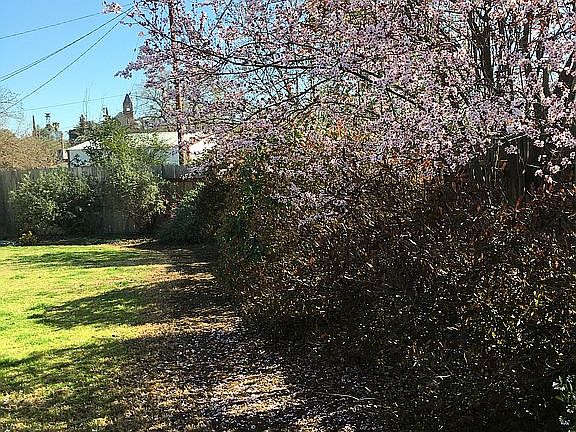 south side of back yard