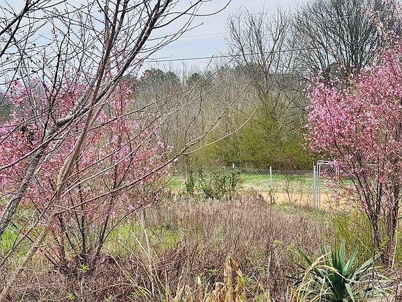 4th image of 229 Graham Rd