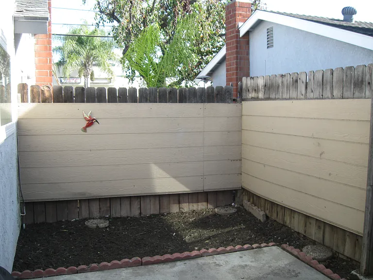 Private back yard