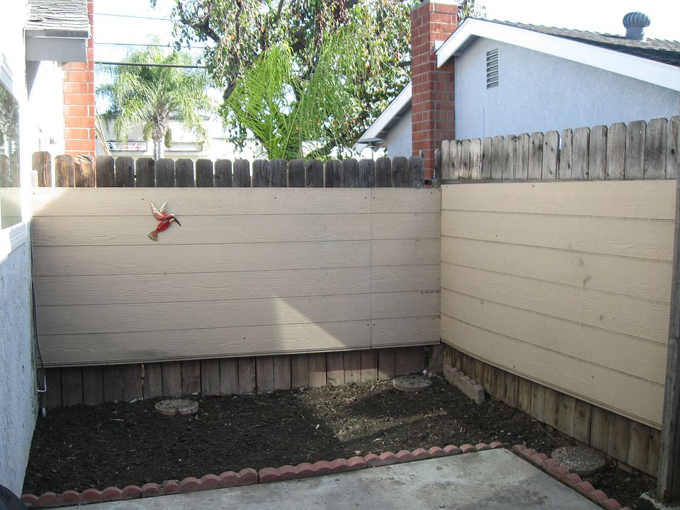 Private back yard